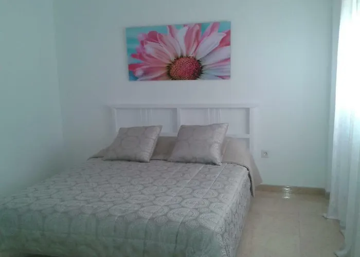Confortable Piso En El Centro De Tenerife